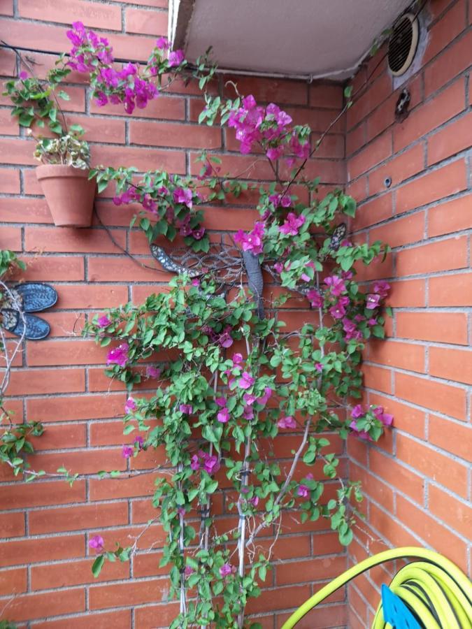 Atico Isaac Albeniz Apartment La Pineda Exterior photo